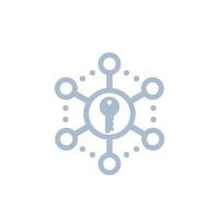 Encryption icon on white vector