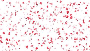 Moviendo corazones rojos sobre fondo blanco video animado de movimiento de San Valentín