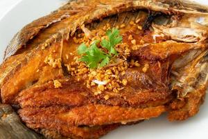 Fried Sea Bass Fish with Garlic photo