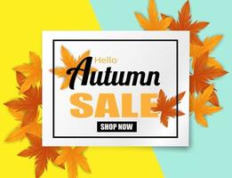 Autumn sale. design with autumn leaves on colorful background. vector