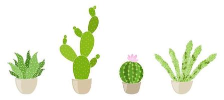 Vector illustration of cacti, cactus collection