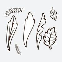 Floral design elements vector