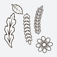 elementos de diseño floral vector