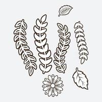 Floral design elements vector