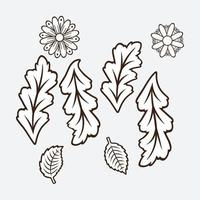 Floral design elements vector