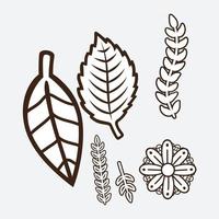 elementos de diseño floral vector