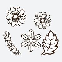 Floral design elements vector