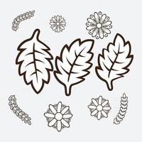 Floral design elements vector