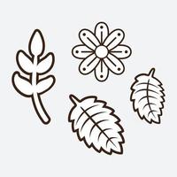 elementos de diseño floral vector