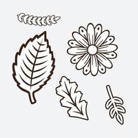 elementos de diseño floral vector