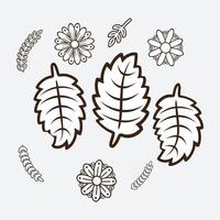 elementos de diseño floral vector