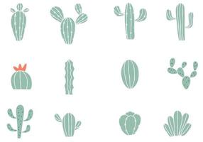 conjunto de colección de cactus vector
