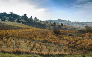 Vineyards and countryside of the Piedmont hinterland, Italy photo