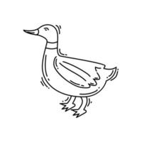 Farming duck icon. hand drawn icon set, outline black, vector