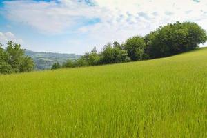 paisaje natural con hermosas colinas verdes foto