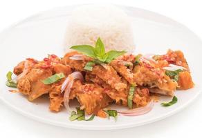 Spicy salad with fried chicken with rice photo