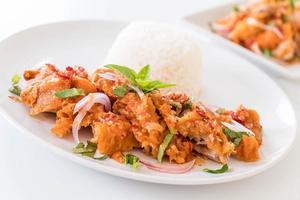 Spicy salad with fried chicken with rice photo