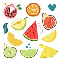 conjunto de rodajas y mitades de frutas. ilustración plana. vector