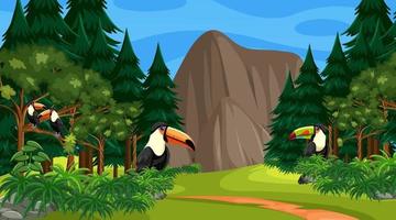 Many toucan birds in forest or rainforest scene with many trees vector