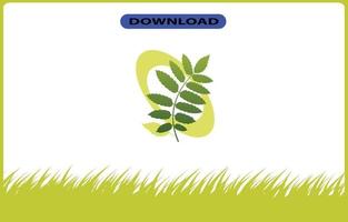 tree or leaf icon high resolution vector