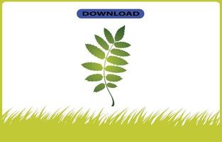 tree or leaf icon high resolution vector