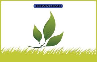 tree or leaf icon high resolution vector