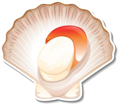 Scallop seafood sticker on white background