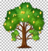 árbol de mango aislado vector