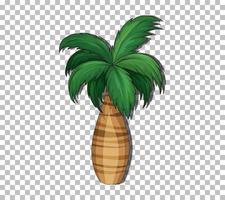 Palm tree isolated vector