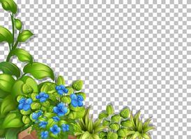 Tropical flowers and leaves frame vector