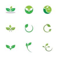 Green leaf logo vector