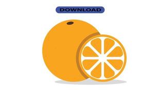 big fresh citrus fruit with high resolution vector