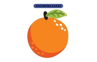 big fresh citrus fruit with high resolution vector