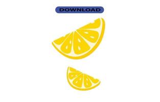 big fresh lime fruit with high resolution vector