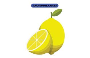 big fresh lime fruit with high resolution vector