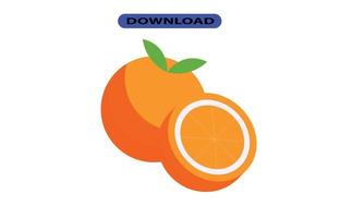 big fresh citrus fruit with high resolution vector