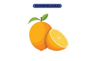 big fresh citrus fruit with high resolution vector