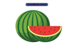 fresh and big watermelon fruit with high resolution vector