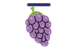 fresh and large grapes with high resolution vector