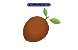 kiwi icon or logo high resolution vector