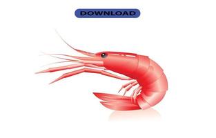 seafood icon or logo high resolution vector