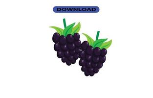 fresh and large grapes with high resolution vector