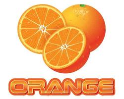 Orange Character and Orange slice Concept vector