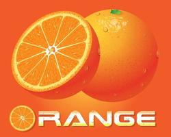 Orange Character and Orange slice Concept vector