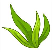 Bunch of green fresh grass. Long leaves of grass. Cartoon style. vector