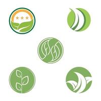 Tree Leaf Vector icon Illustration design template