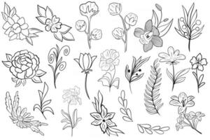 Set of simple botanical elements for design vector illustration