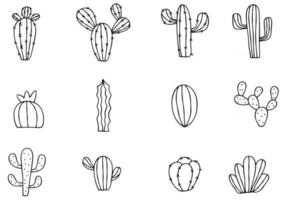 conjunto de cactus doodle vector