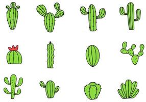 cactus verdes dibujados a mano vector