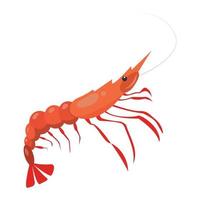 Realistic fresh shrimp on white background - Vector